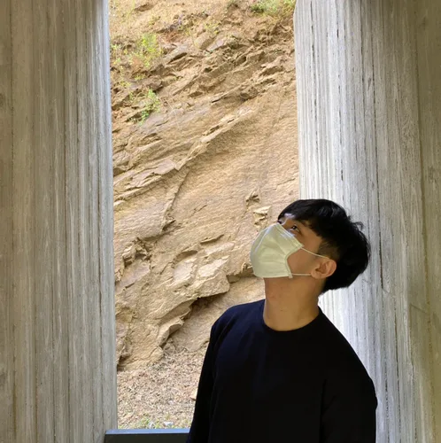 나무맛젤리