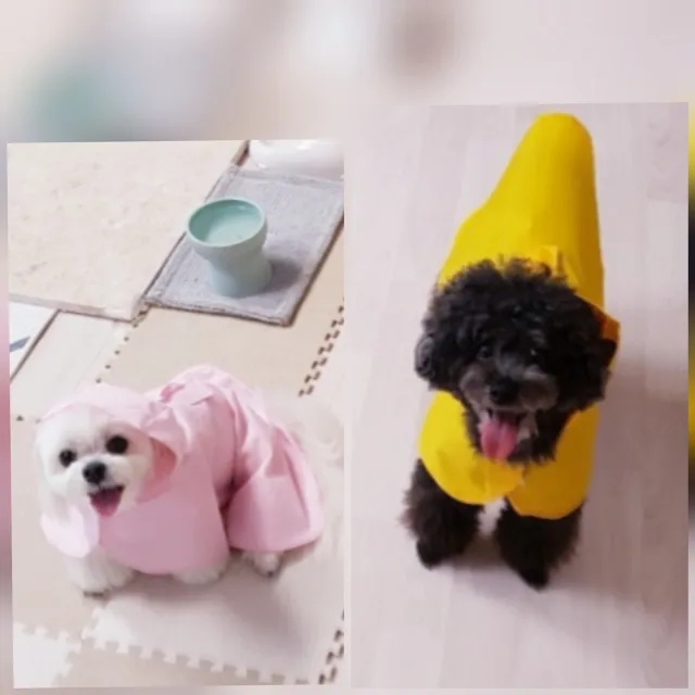 땡큐