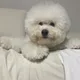 먐먐밈먐먐