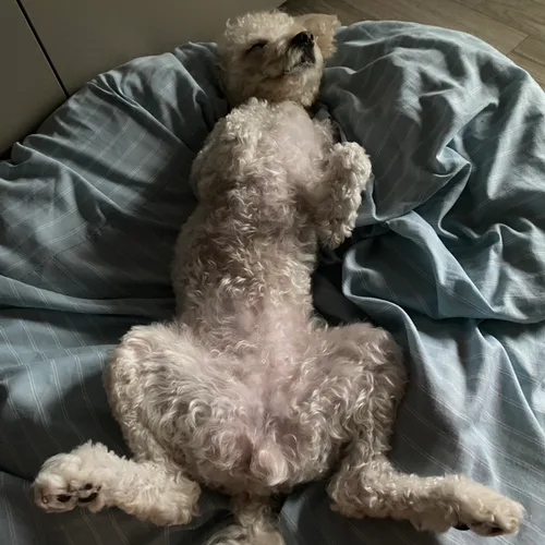 희망이
