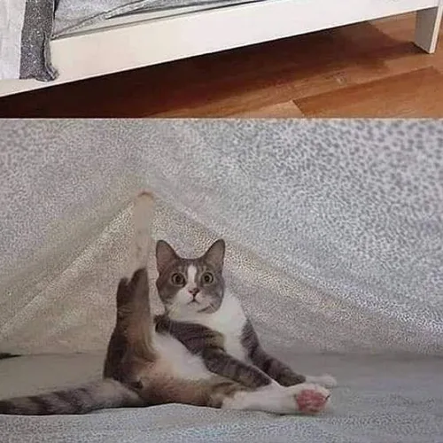으각