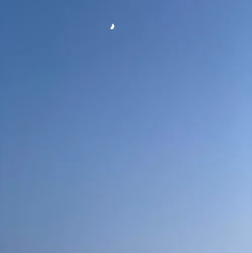 아리