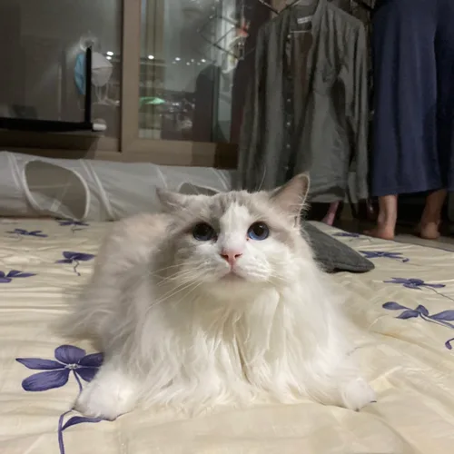 우유라봉