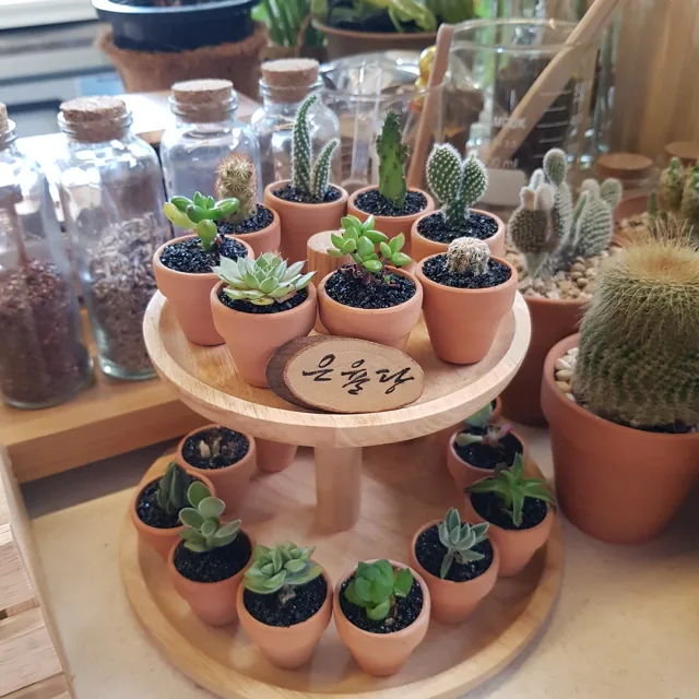 달콤힐링