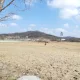 아자아자하자