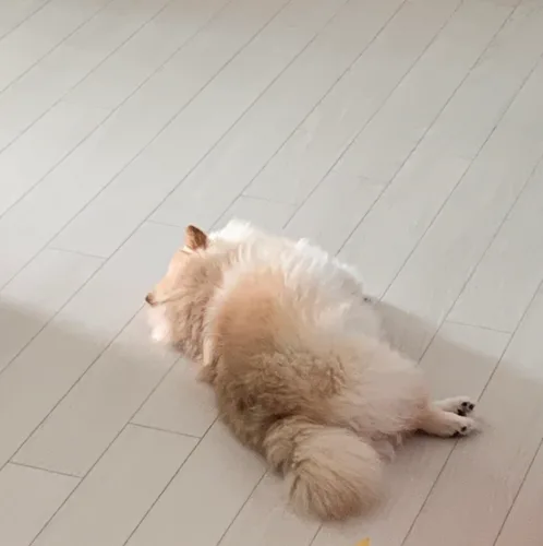 2121