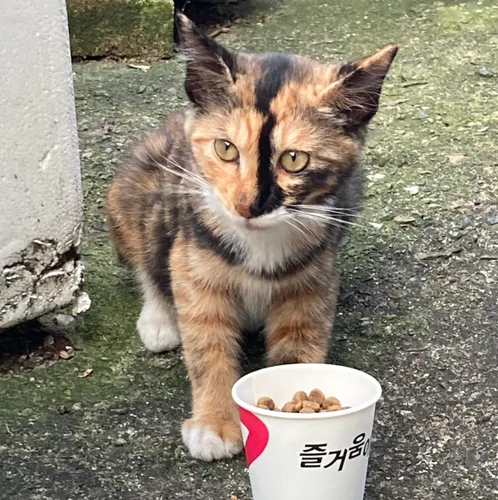가을