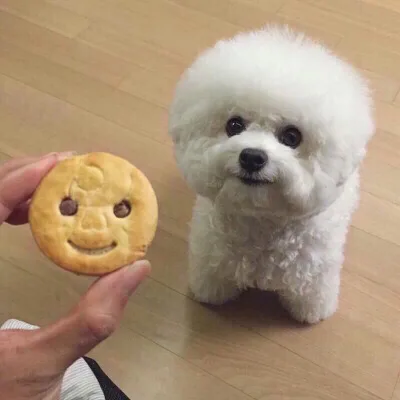 하2루