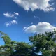 Oh달링