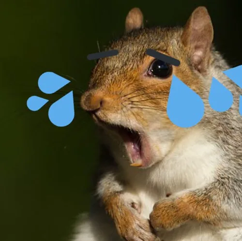 호히히