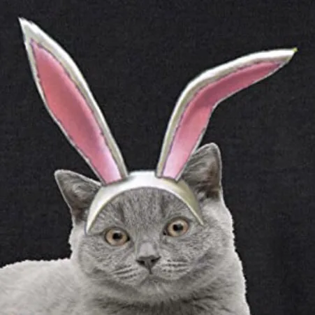 Cabbit