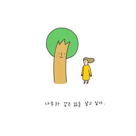물푸레