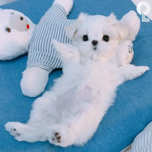 당근당근당근당근