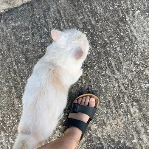 폭격기