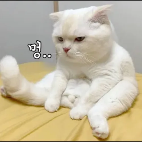 만원의행복