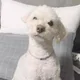 혜원식당