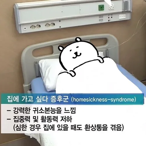 망개떡