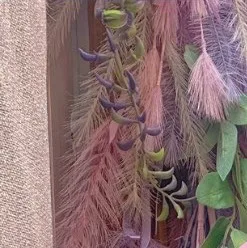 츄츄