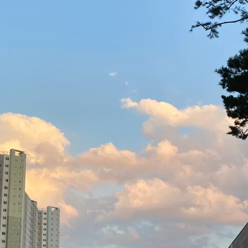 고우님