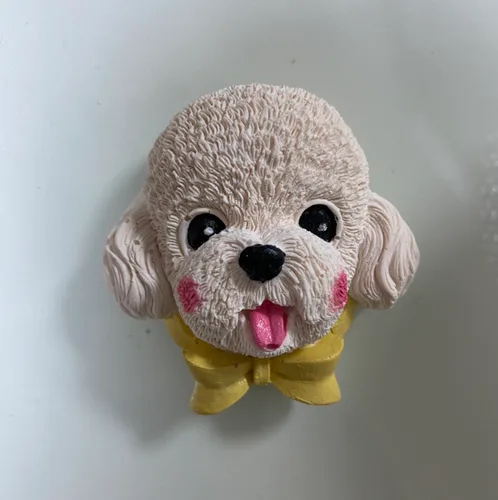 꽁꽁