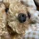 희주