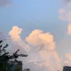 기버기버