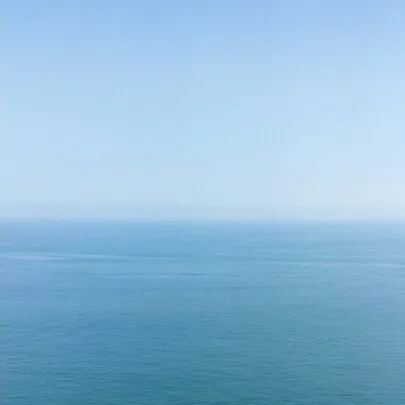 해바라기