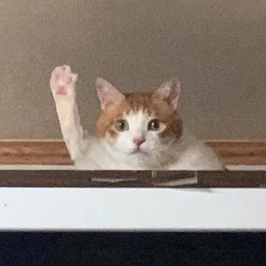 호랭