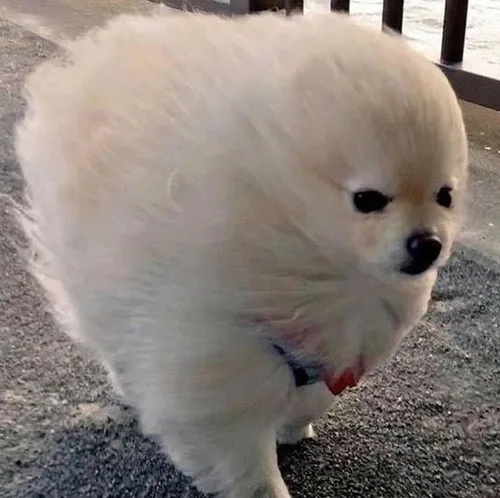 마구마구