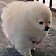 마구마구