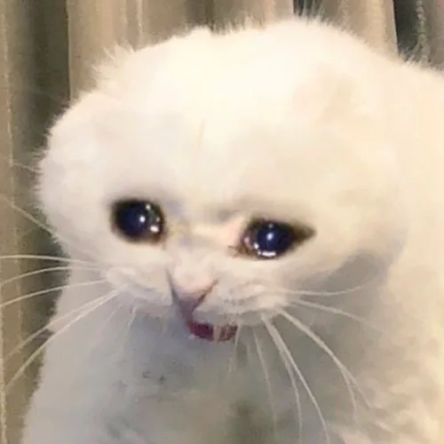 빨리사가용