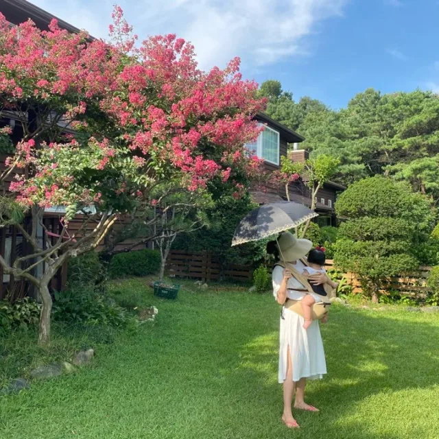 쪼알