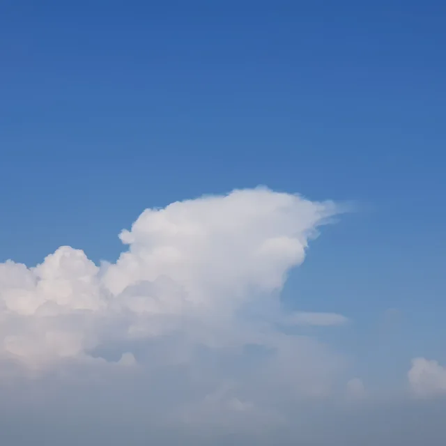 인터네셔널