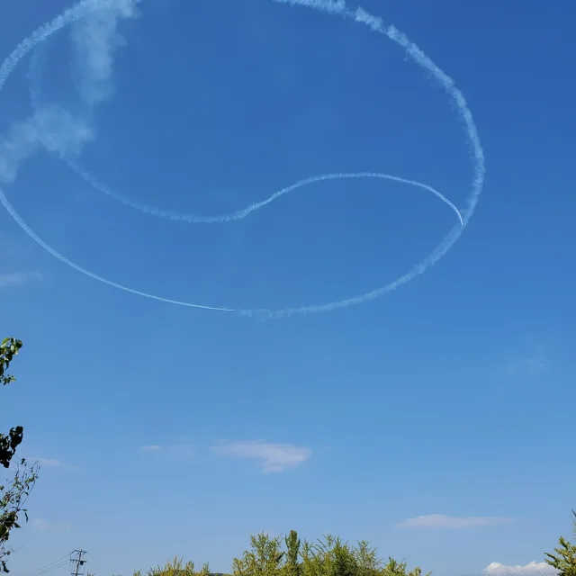 샷가이
