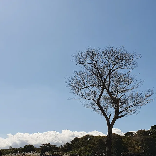 늦둥이맘