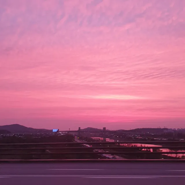 레몬트리1114