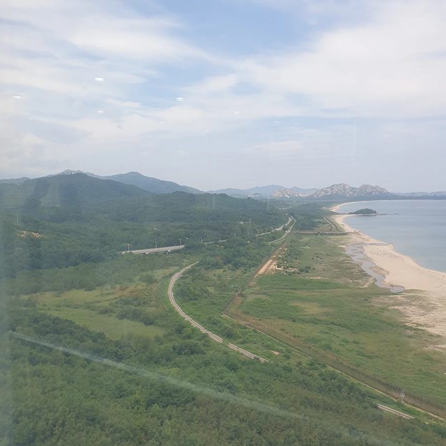 천안둘리