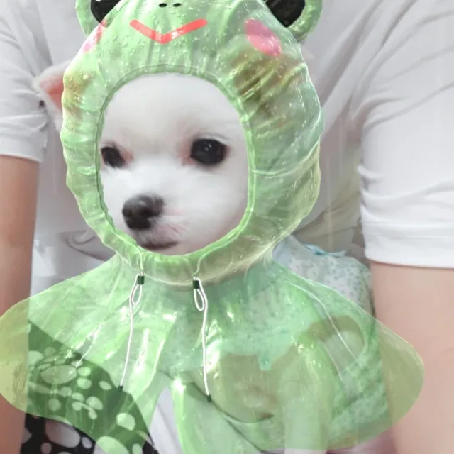 럭키토끼