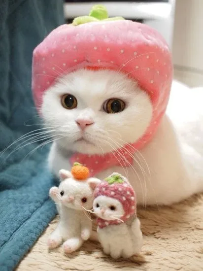 뇽뇽