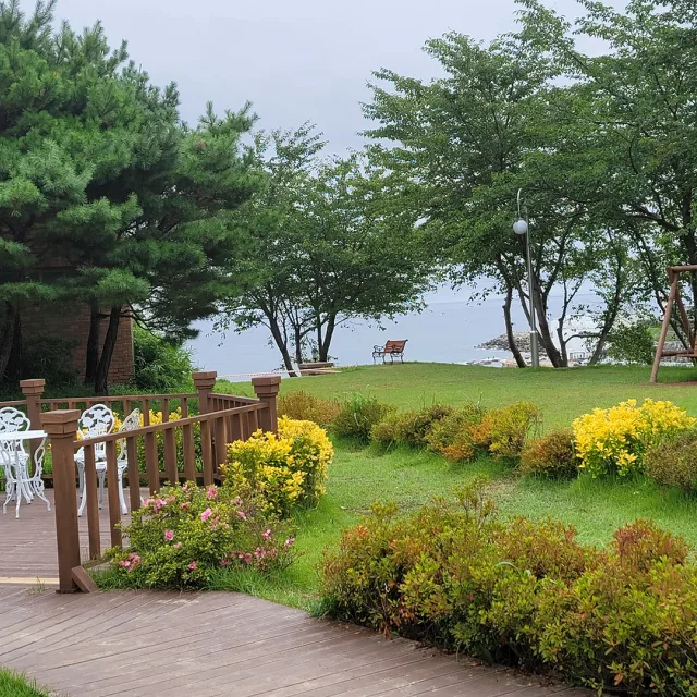 임데렐라