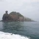 킴팽귄