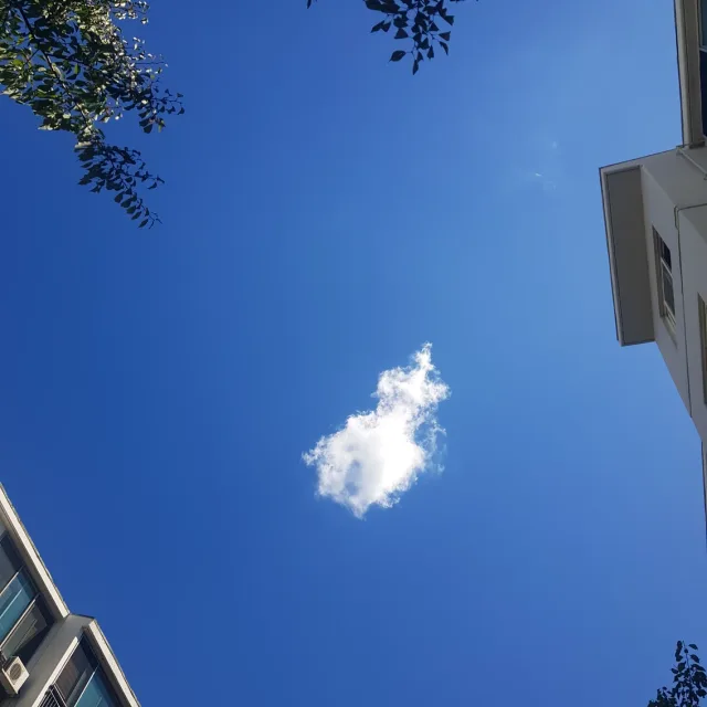 청처러렁