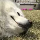 모악산루키