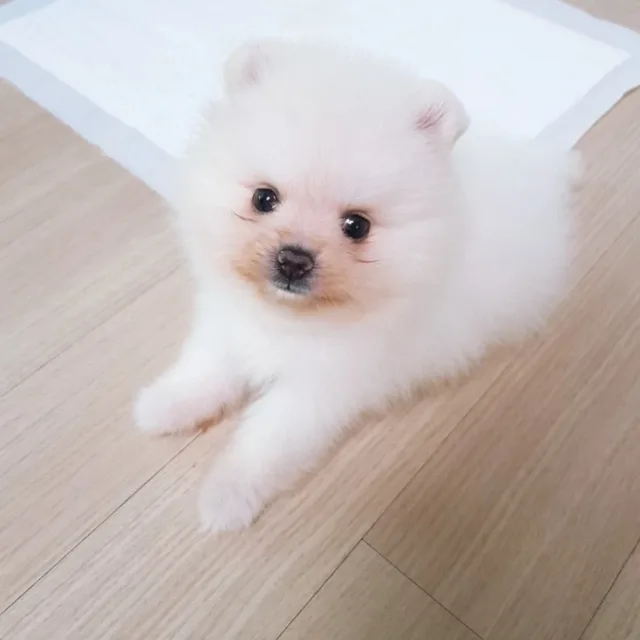 길90
