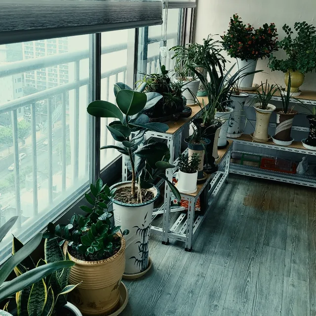 젠틀맨A