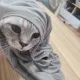 추리