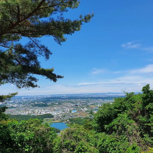 송프리