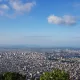 당근37