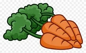 당근나라
