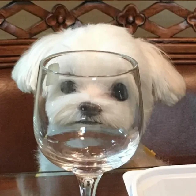 풍풍풍